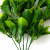 Трава искусственная -1, шт (эвкалипт лист 32 см/8 см)				 - купить в Омске. Цена: 169.93 руб.