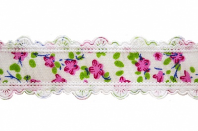 Тесьма декоративная 0385-6170, шир. 25 мм/уп. 22,8+/-1 м, цвет 02-розовый - купить в Омске. Цена: 364.70 руб.