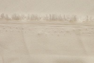 Костюмная ткань с вискозой "Бриджит" 11-0107, 210 гр/м2, шир.150см, цвет бежевый - купить в Омске. Цена 564.96 руб.