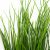 Трава искусственная -4, шт  (осока 50 см/8 см  7 листов)				 - купить в Омске. Цена: 130.73 руб.